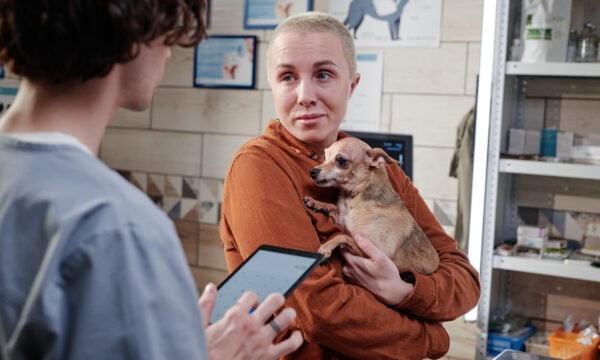 Adult with pet