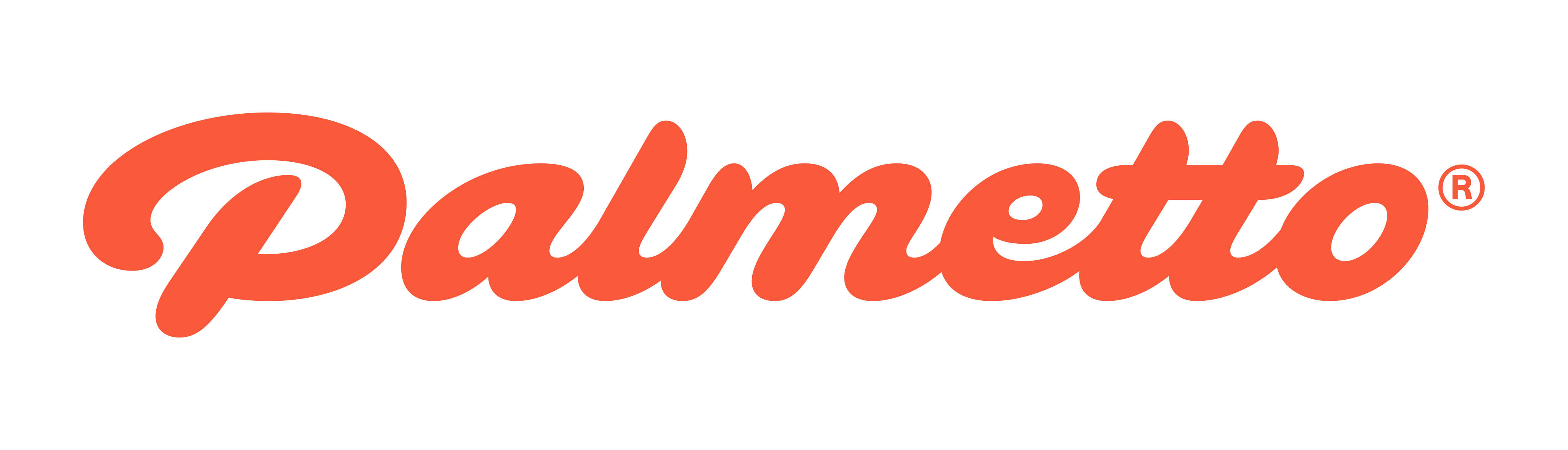 Palmetto