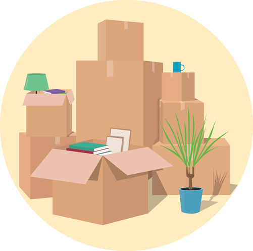 Plant, Potted Plant, Box
