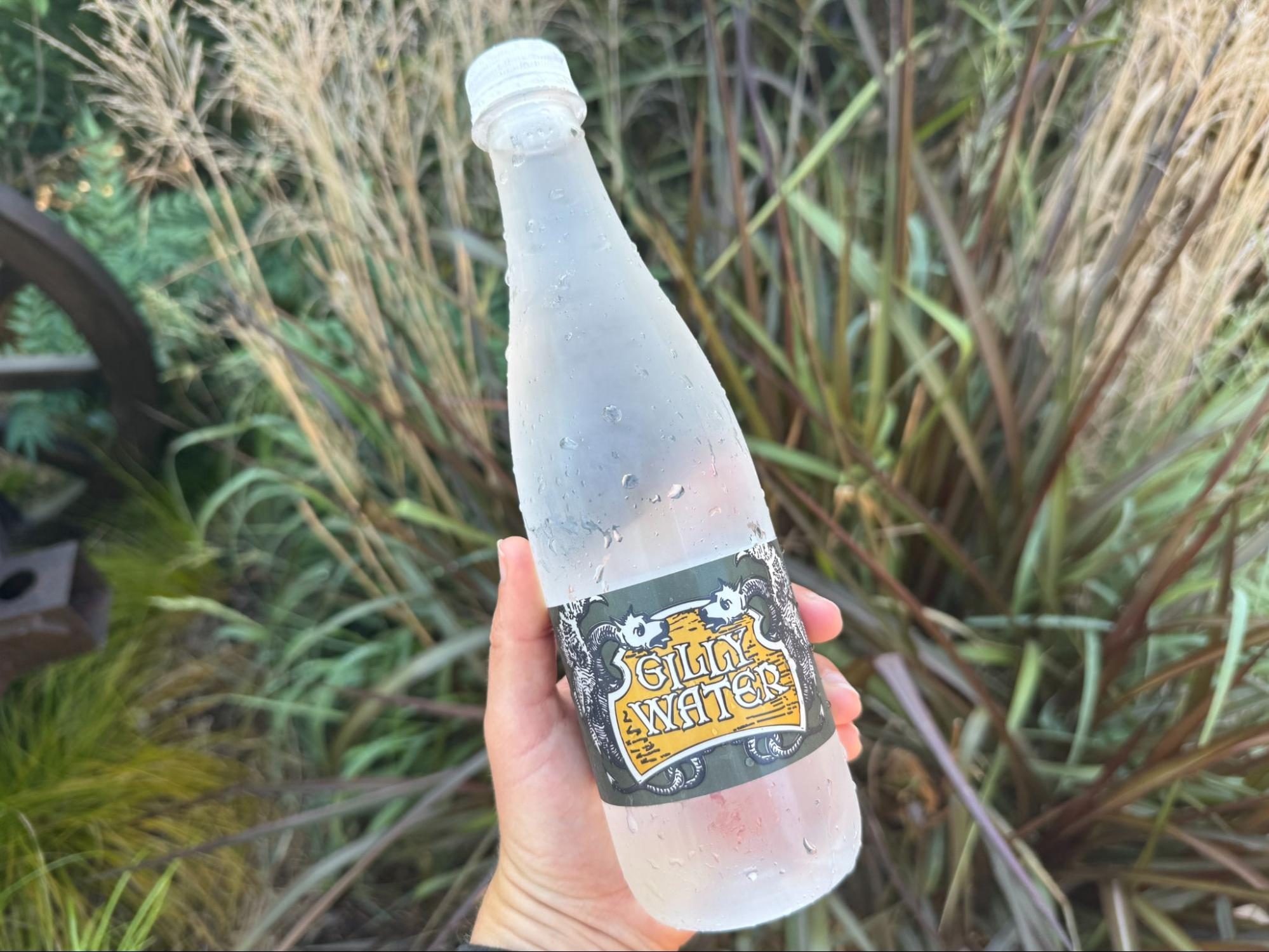 Bottle, Beverage, Pop Bottle