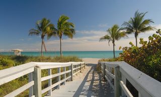 Summer, Water, Waterfront