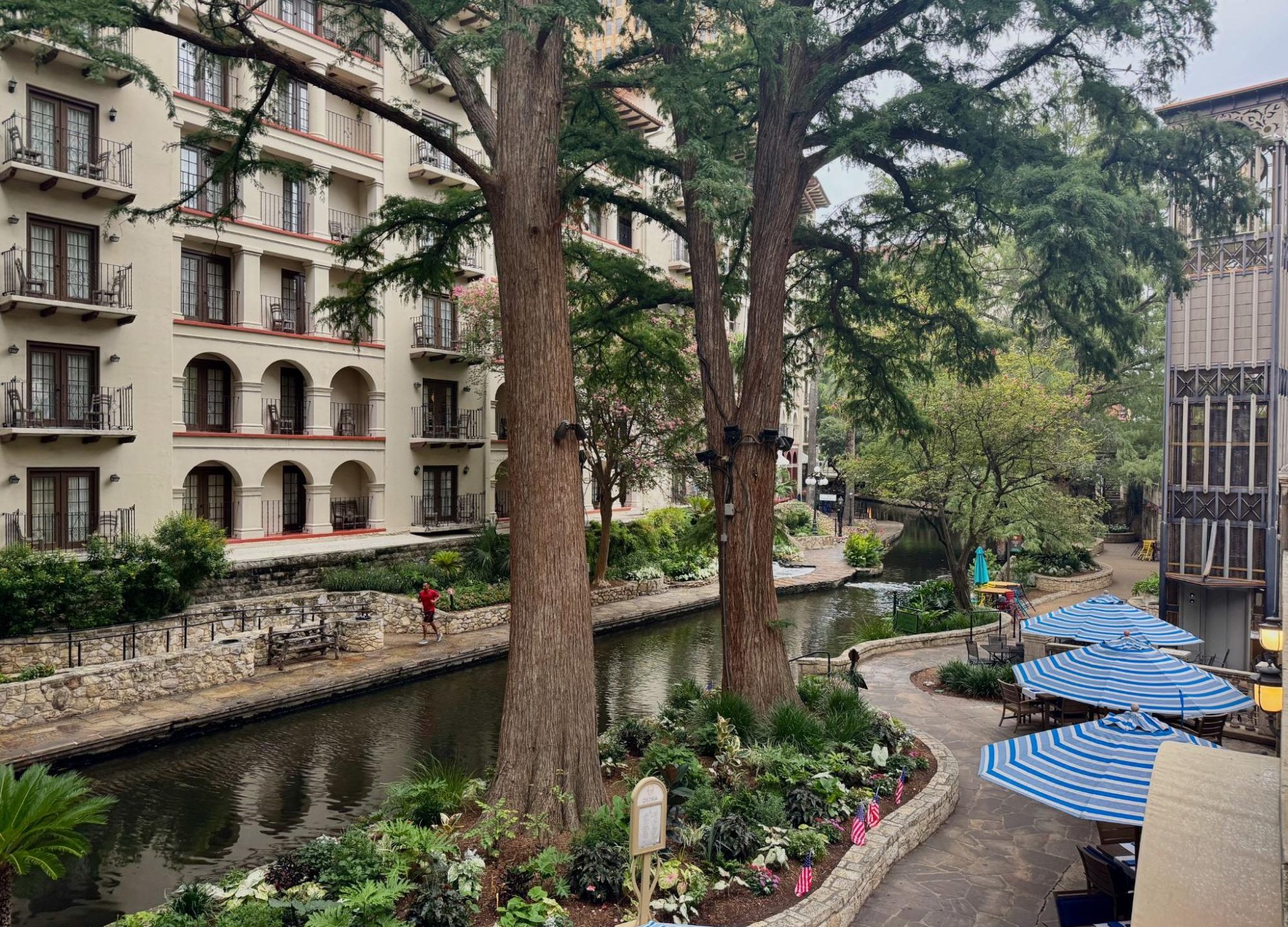 City, Nature, Outdoors