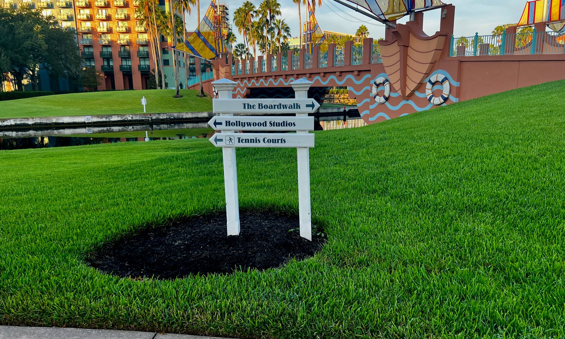 Grass, Plant, Lawn